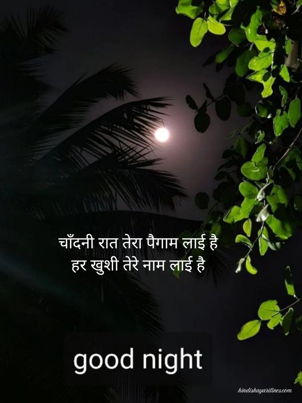 Good Night Shayari In Hindi 2 Line